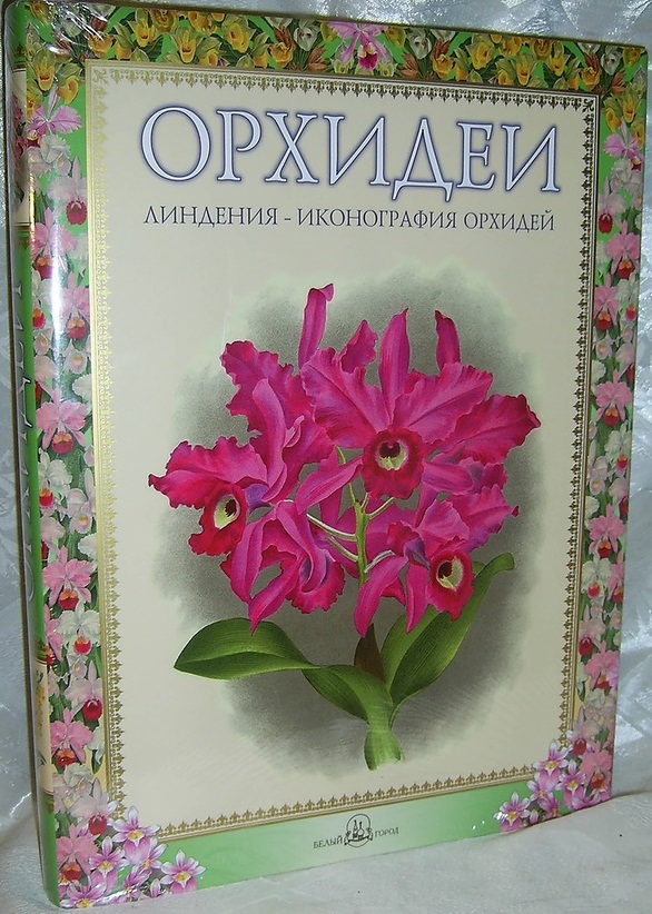 Орхидеи. Линдения — иконография орхидей: Подарочное издание